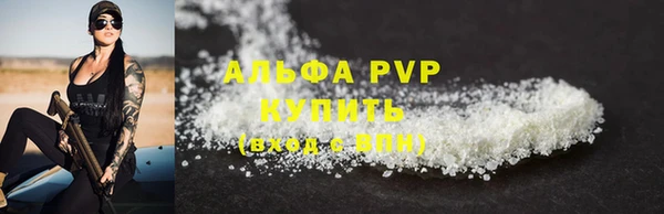ГАЛЛЮЦИНОГЕННЫЕ ГРИБЫ Инсар