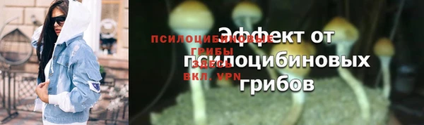 ГАЛЛЮЦИНОГЕННЫЕ ГРИБЫ Инсар