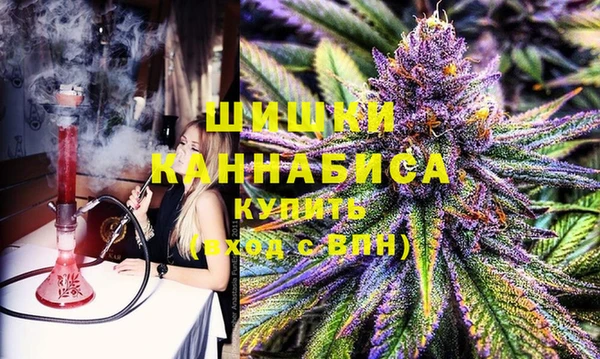 ГАЛЛЮЦИНОГЕННЫЕ ГРИБЫ Инсар