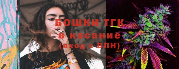 ГАЛЛЮЦИНОГЕННЫЕ ГРИБЫ Инсар