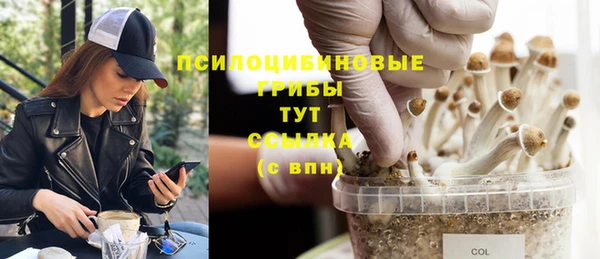 ECSTASY Иннополис