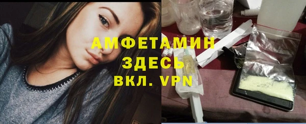 ГАЛЛЮЦИНОГЕННЫЕ ГРИБЫ Инсар